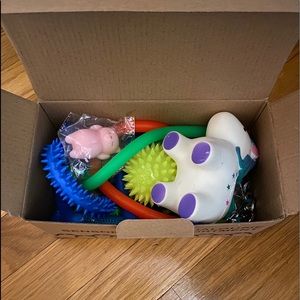 Sensory toy assortment